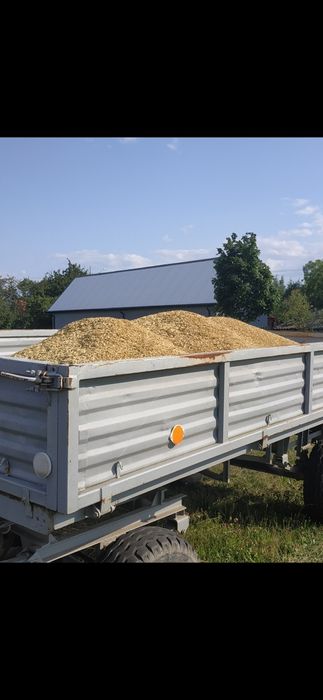 Owies opałowy pellet