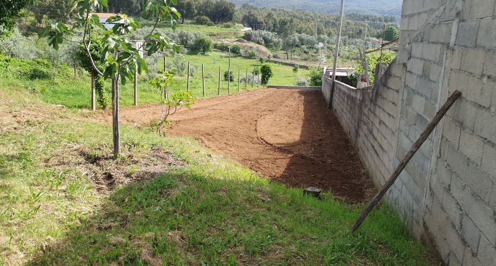 Serviços  de jardinagem limpeza de terrenos,  bricolage pinturas  l