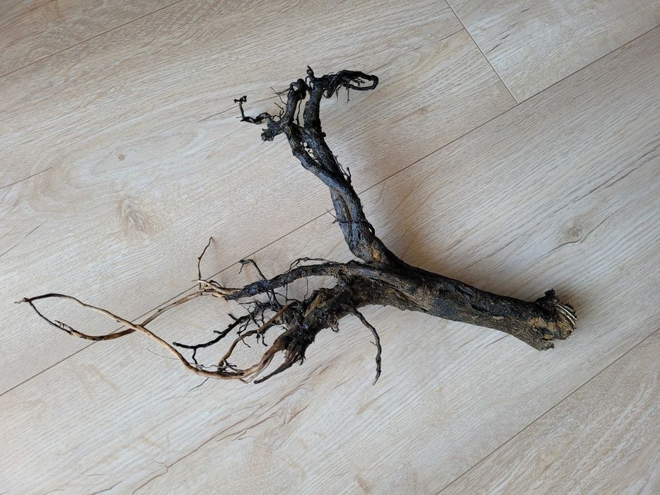 naturalny korzeń do akwarium terrarium - 35 cm