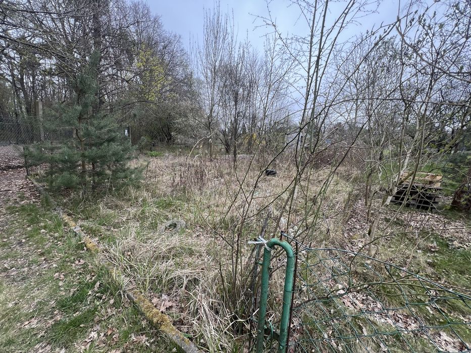 Działka ROD Plon 315 m2