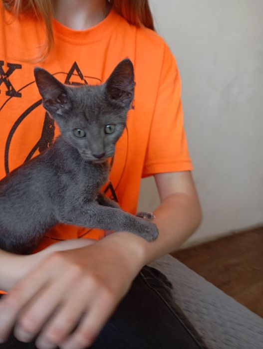 Орієнтальний хлопчик
