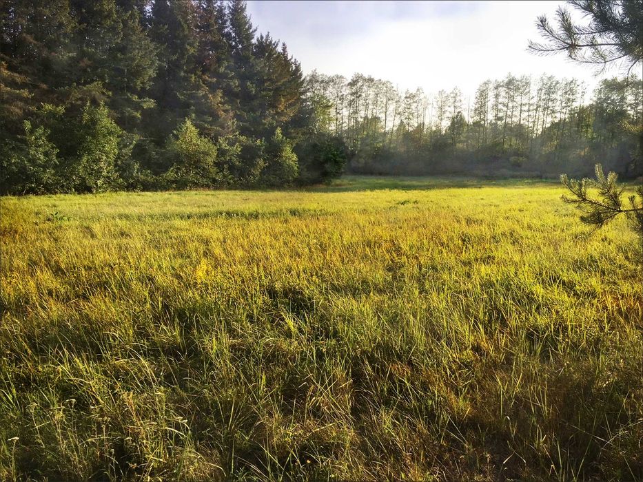 Działka siedliskowa w Skułach - Widok 3