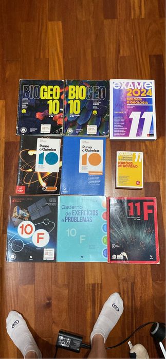 Manuais escolares +cadernos de atividade secundario