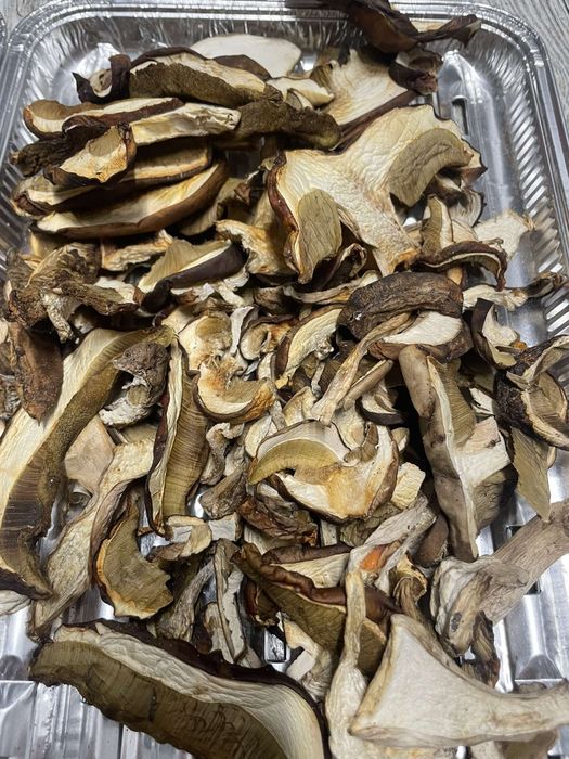Świeże grzyby suszone borowiki i podgrzybki