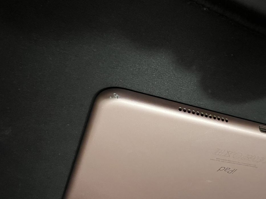 Ipad Pro 6,7 Cellular