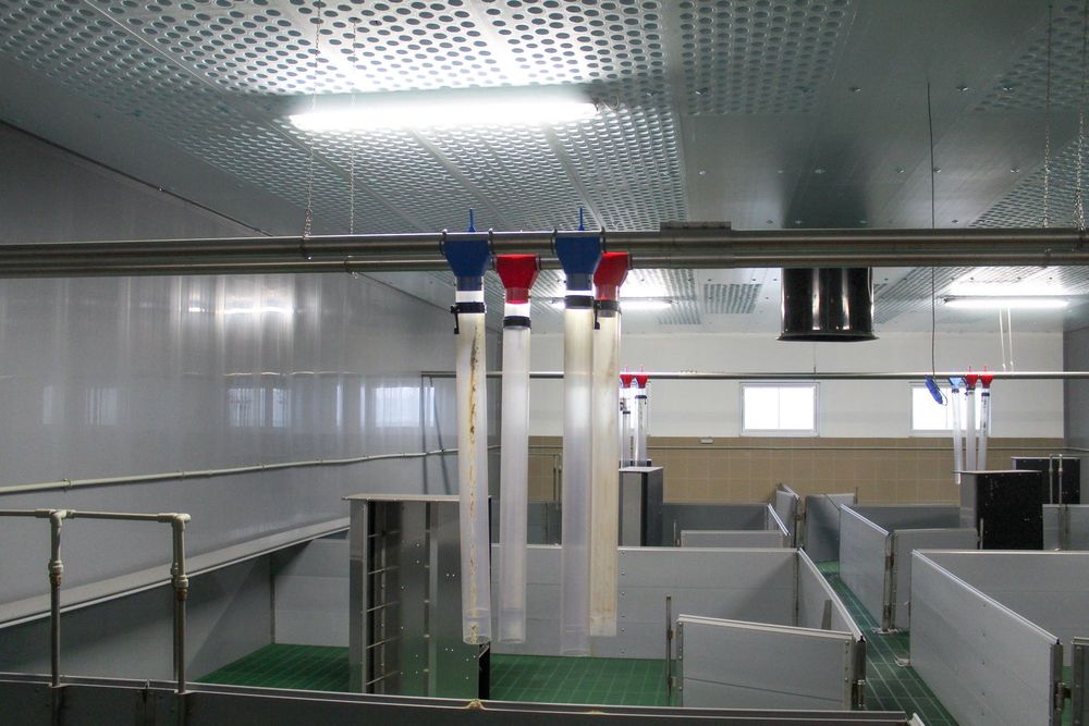 Sufit Wentylacyjny Perforowany Panele Izolacyjne Styrodur XPS AGRO 40