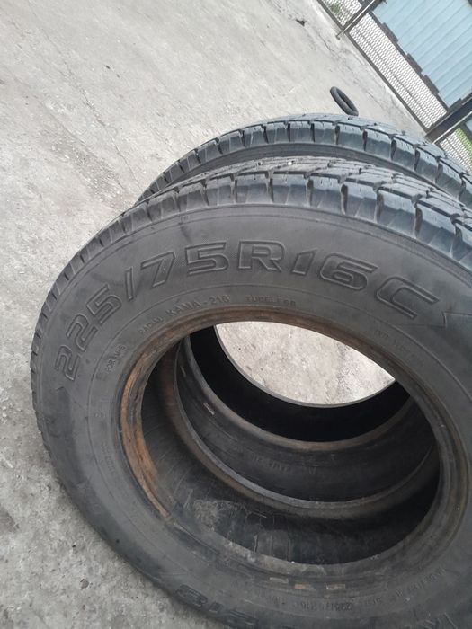 Продам резину. цешка.