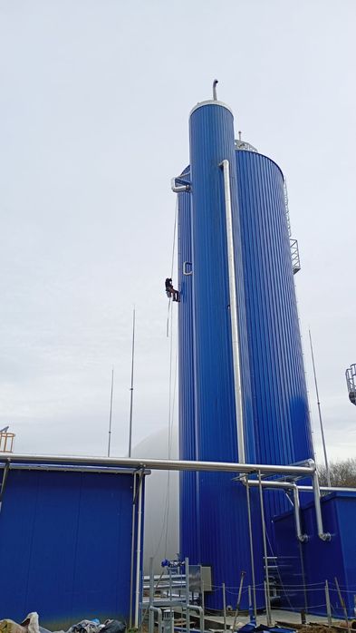 Wycinka ,przycinka i pielęgnacja drzew