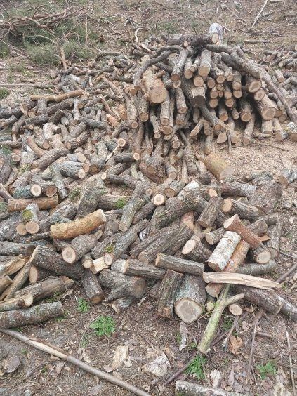 Gałęziówka na sprzedaż