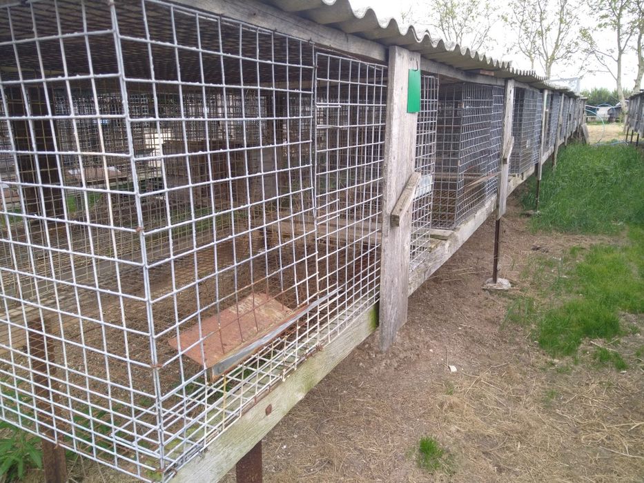 Klatki dla zwierząt, siatki ,kojce,siatki zbrojeniowe