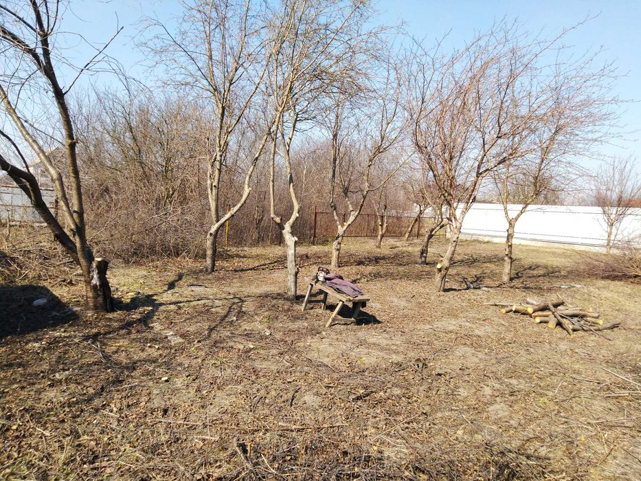 Спил, обрізка дерев. Покос трави.
