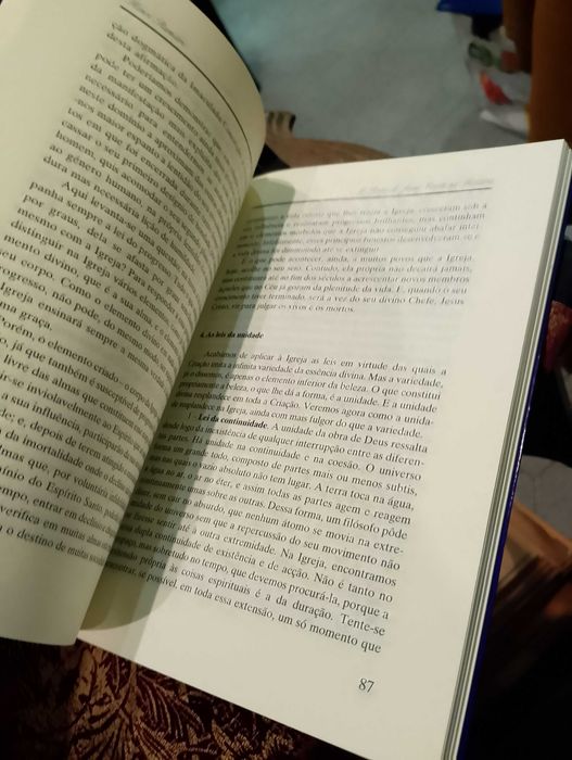 O Reino de Jesus Cristo na História - Henri Ramière