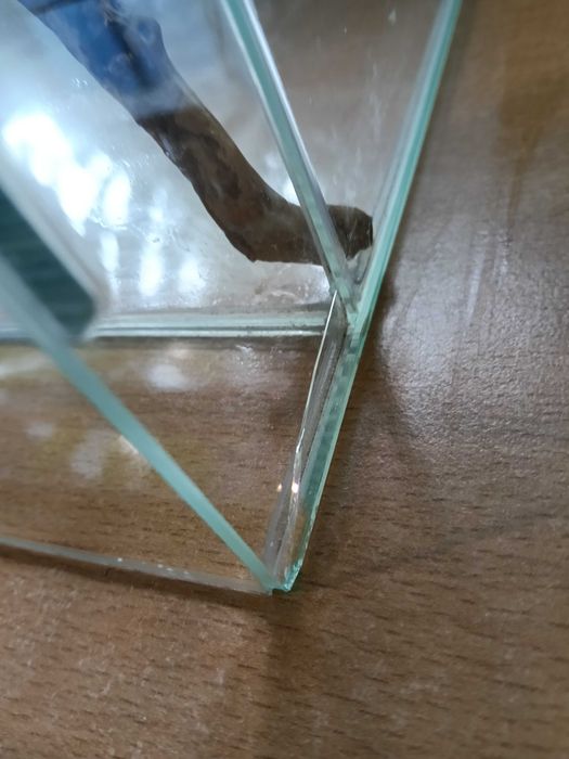 Terrarium 60x30x40