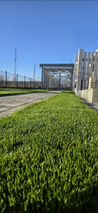 Zakładanie trawników, Pielęgnacja trawników, Wertykulacja i Aeracja