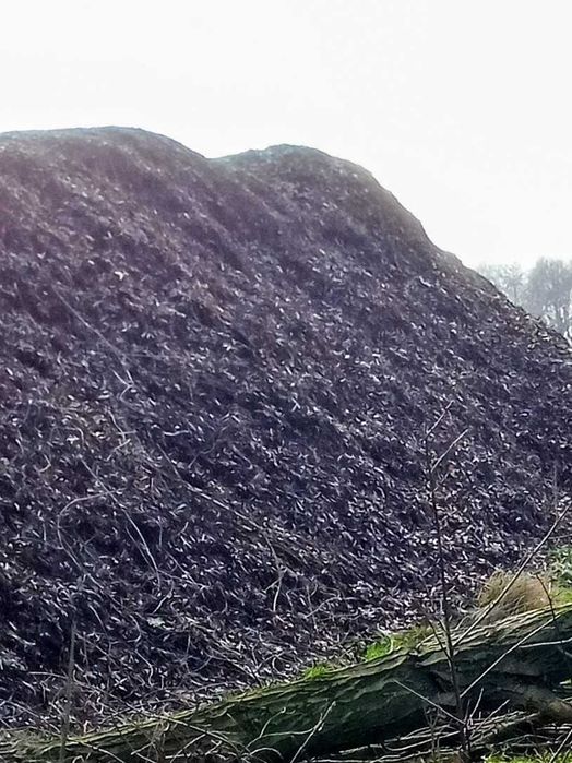 Zrębka drzewna kora