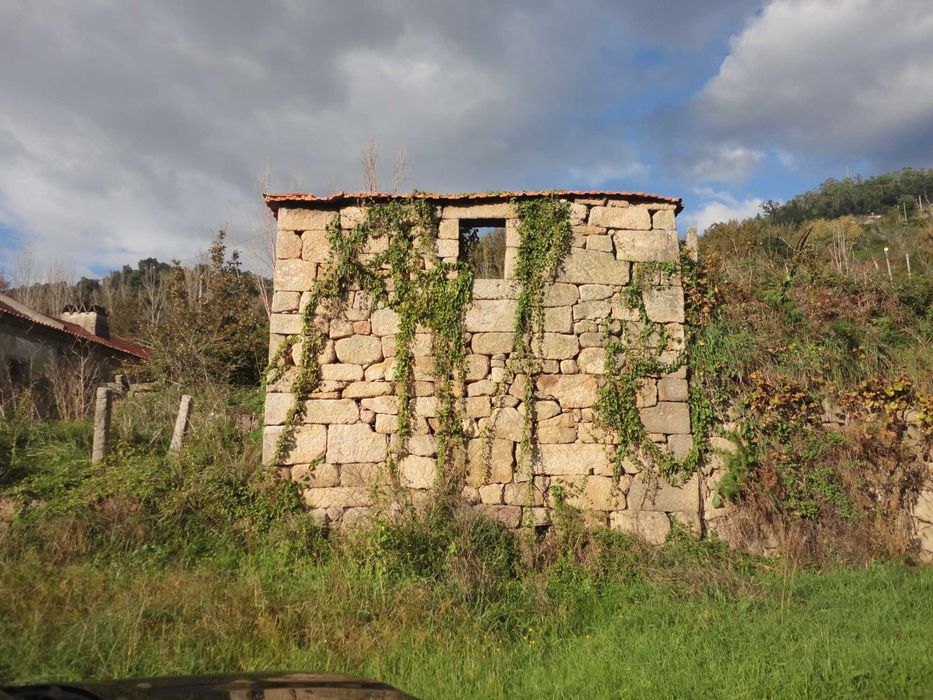 Venda de Quinta com acesso direto ao Rio Douro