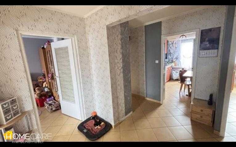 Zdjęcie 7