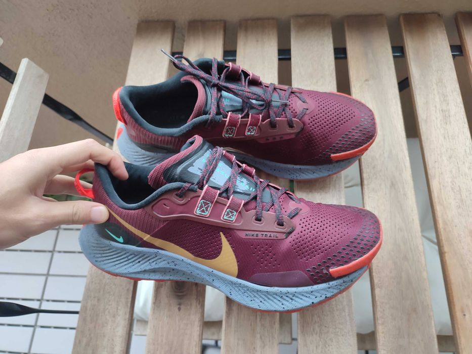 Nike Pegasus Trail 3