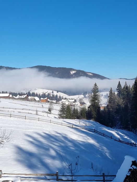 REST HILL | Котедж в горах | Відпочинок | Будинок в Карпатах | Ворохта