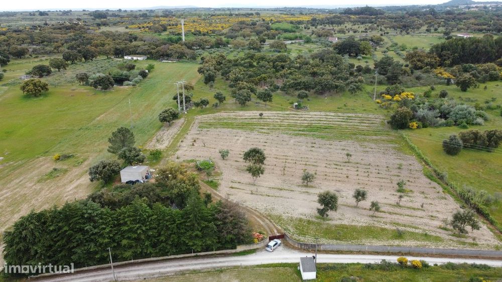 Quinta - Tapada da Misericórdia  - Castelo Branco — Castelo Branco, Castelo Branco