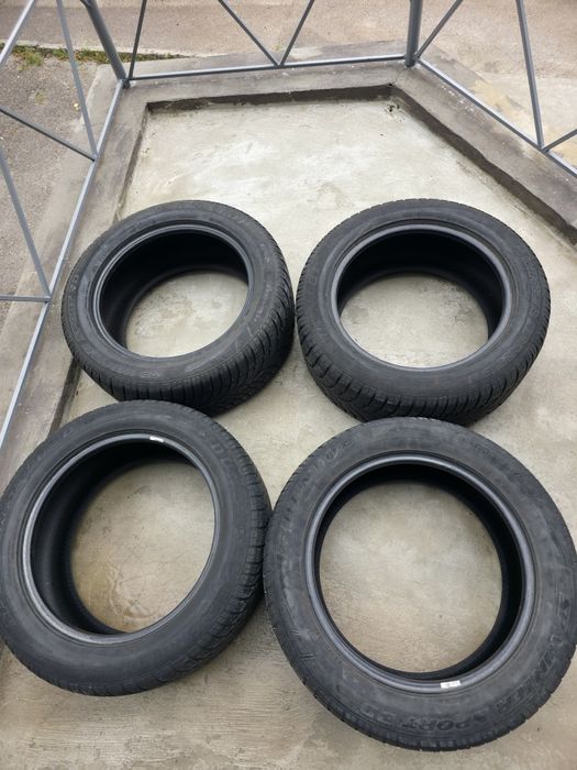 Шини Dunlop WinterSport 3D R19 265/50