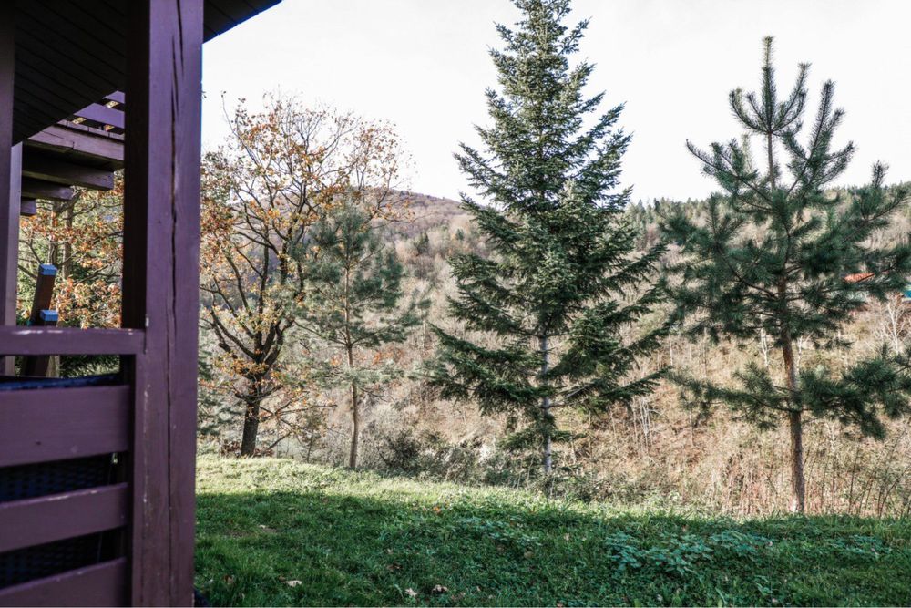 Котедж “Барвінок” у Яремче на 10-12 місць. Відпочинок у Карпатах