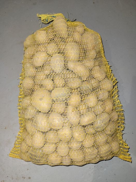 Ziemniaki paszowe/odpadowe