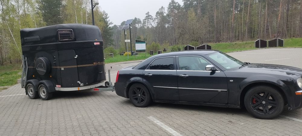 Transport koni krajowy