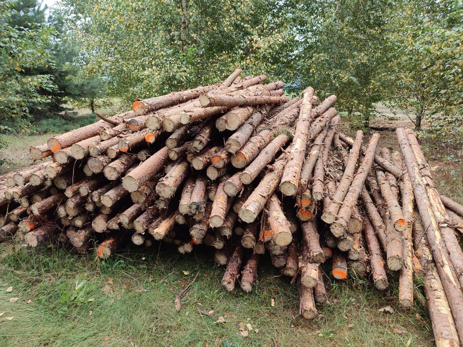 Stemple budowlane nowe