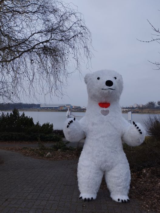 Imprezowe Misie BIAŁY-BRĄZOWY