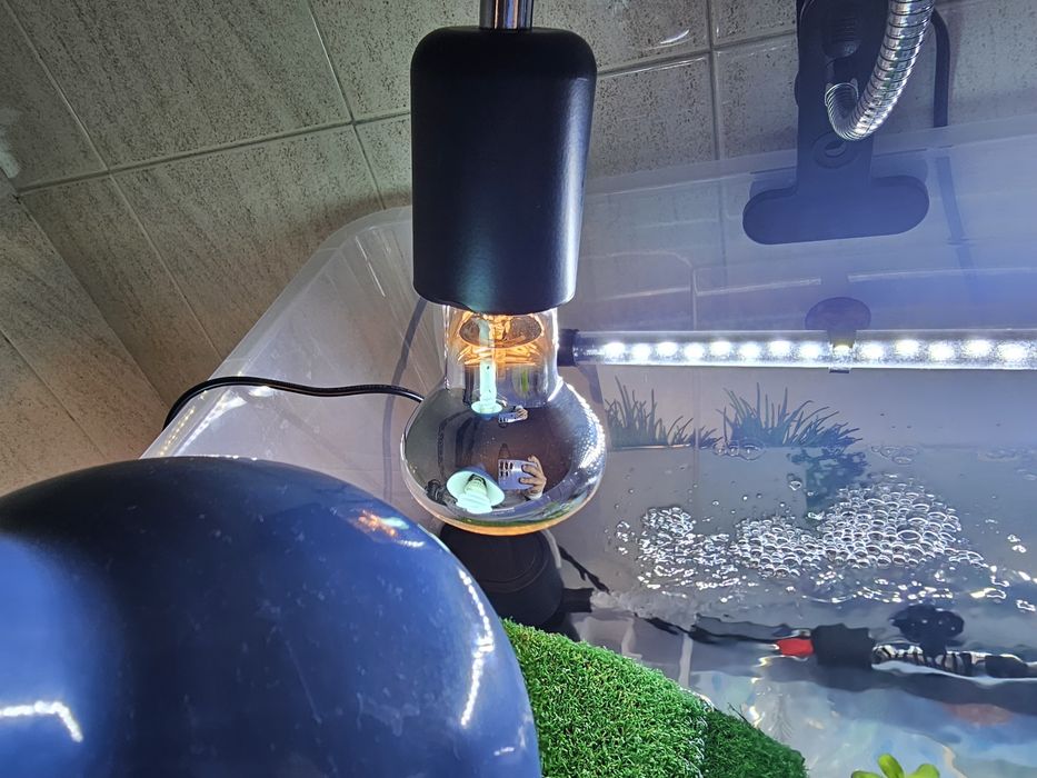 Material para aquario