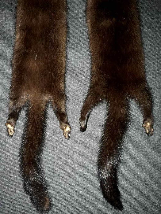 Шкурки норки