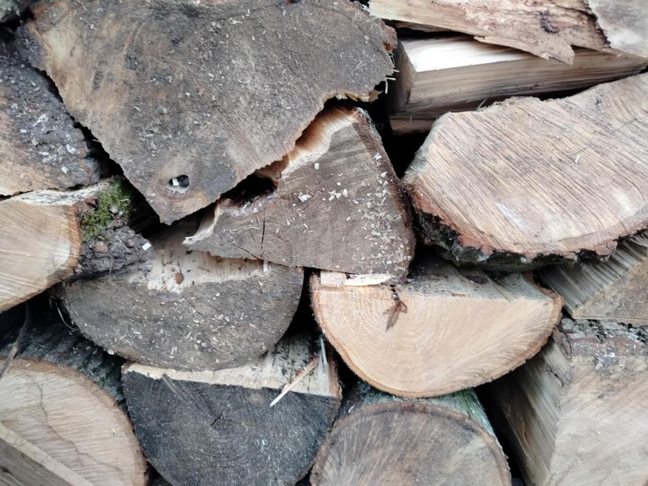Drewno opałowe/kominkowe