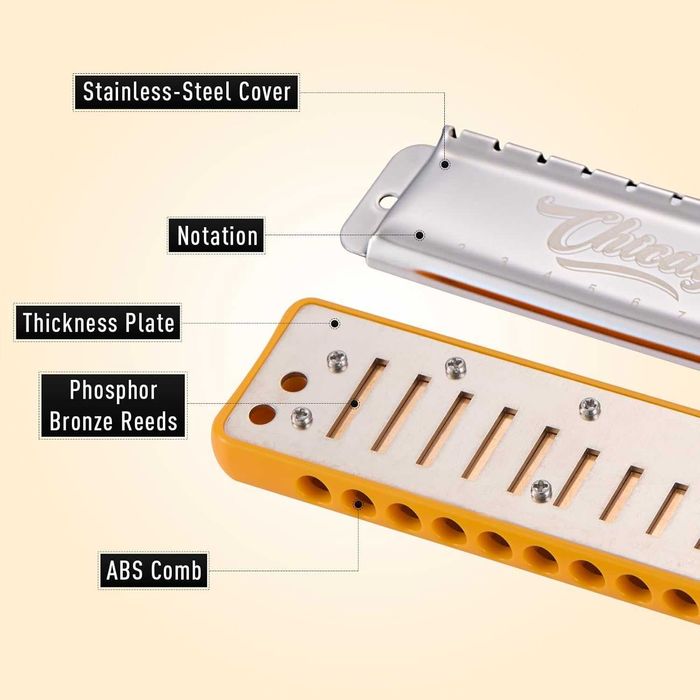 JDR Chicago. Губна гармоніка (губная гармошка)