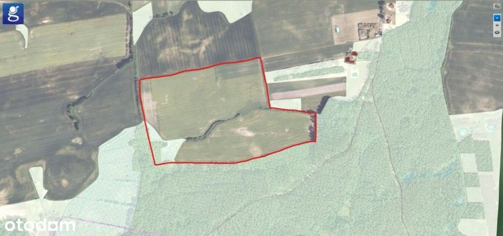 Sprzedam grunty rolne  25,16 ha – Licze (woj. pomorskie)