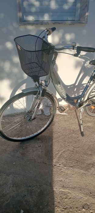 Bicicletas clássicas Pegasus