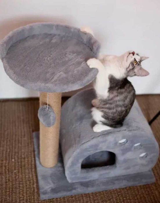 Будиночок для кота Равлик Міцна кігтеточка лежак Дряпка Когтеточка