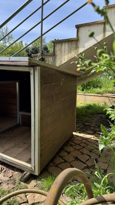 Casota em madeira para cães