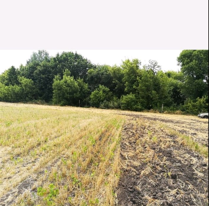 Продам ділянку під забудову в с.Ставки,25 соток. Обухівський р-н,4999
