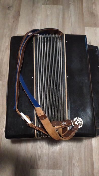 Баян Мічта випуску тих часів