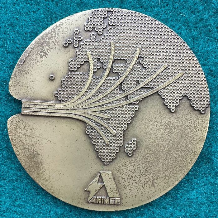 Medalha comemorativa em bronze