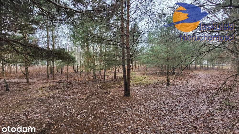 Działka na sprzedaż, 1439 m²