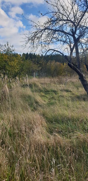 Продаж. Будинок, 35 сот зем.ділянка, с. Зарічани