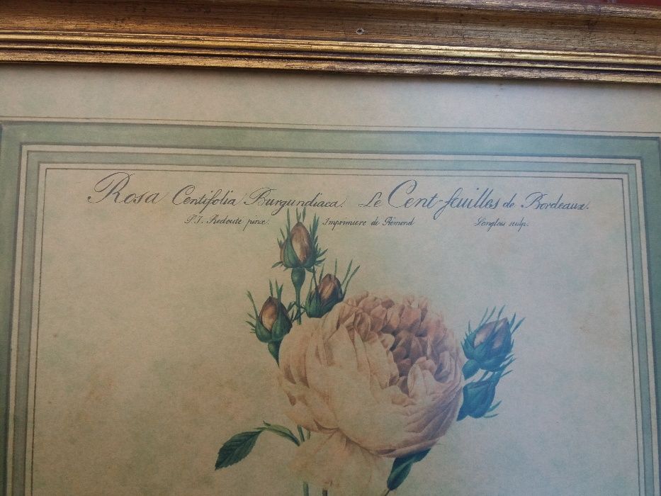 Quadro ouro velho