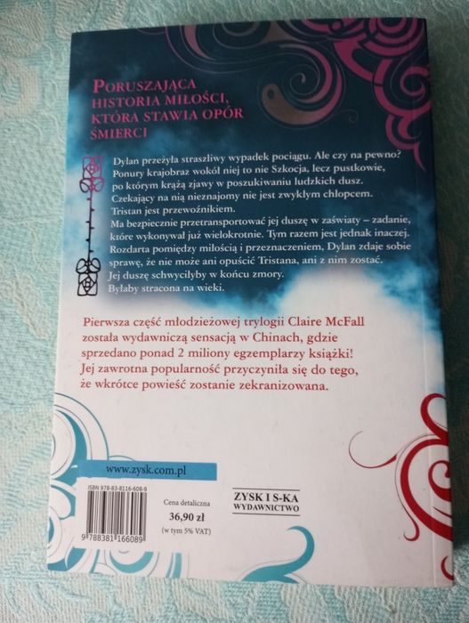 Przewoźnik książka młodzieżowal