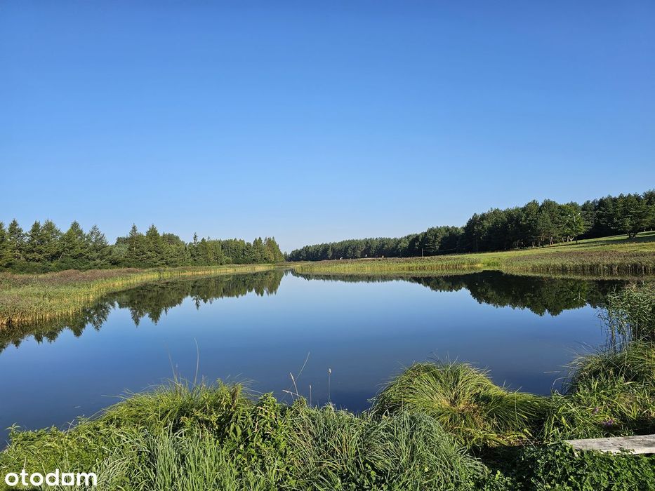 Działka 7499 M² Nad Zalewem Bachmaty Warunki Zabudowy Brak Sąsiadów - Widok 2