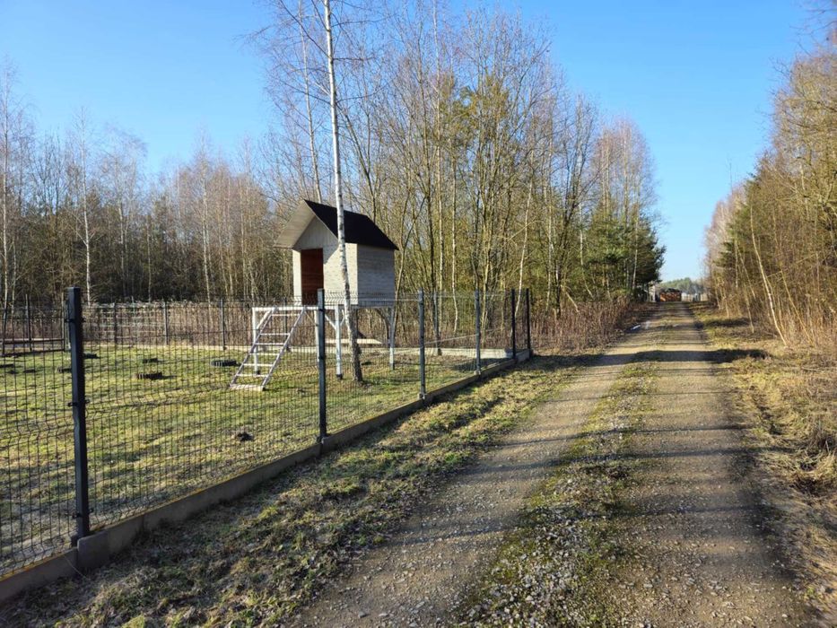 Działka budowlana Cychry gm. Pniewy - Widok 6