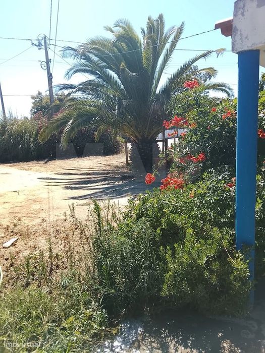 Moradia T2 com Quintal, Terraço e Churrasqueira em Vila Nova de Mil...
