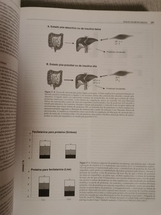 Joslim Diabetes Melito