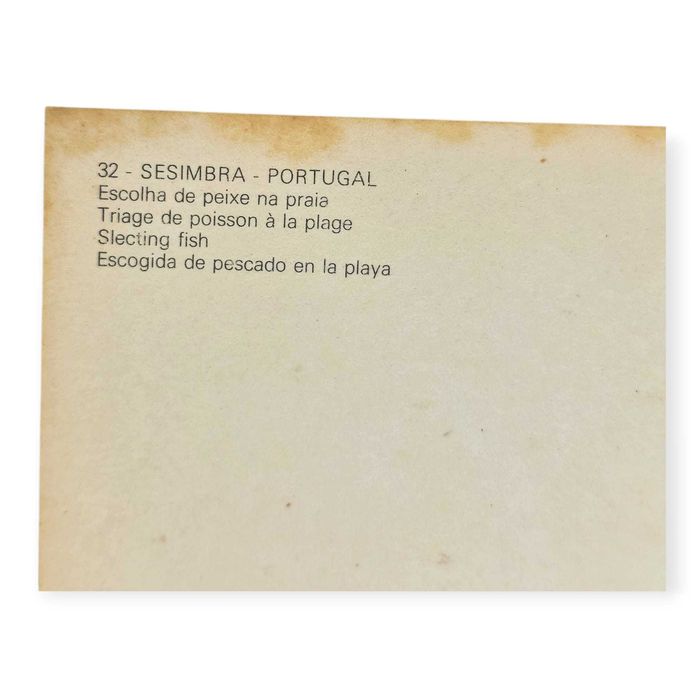 Postal Antigo–Sesimbra Portugal–Escolha de Peixe na Praia(Década 1950)